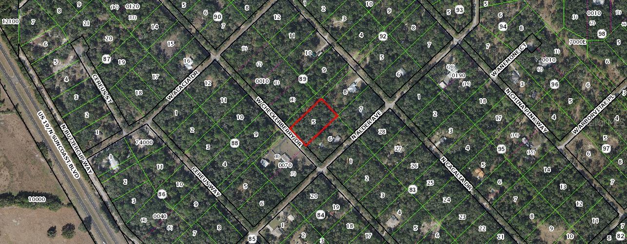 12639 W CHECKERBERRY DR, CRYSTAL RIVER, FL, 34428