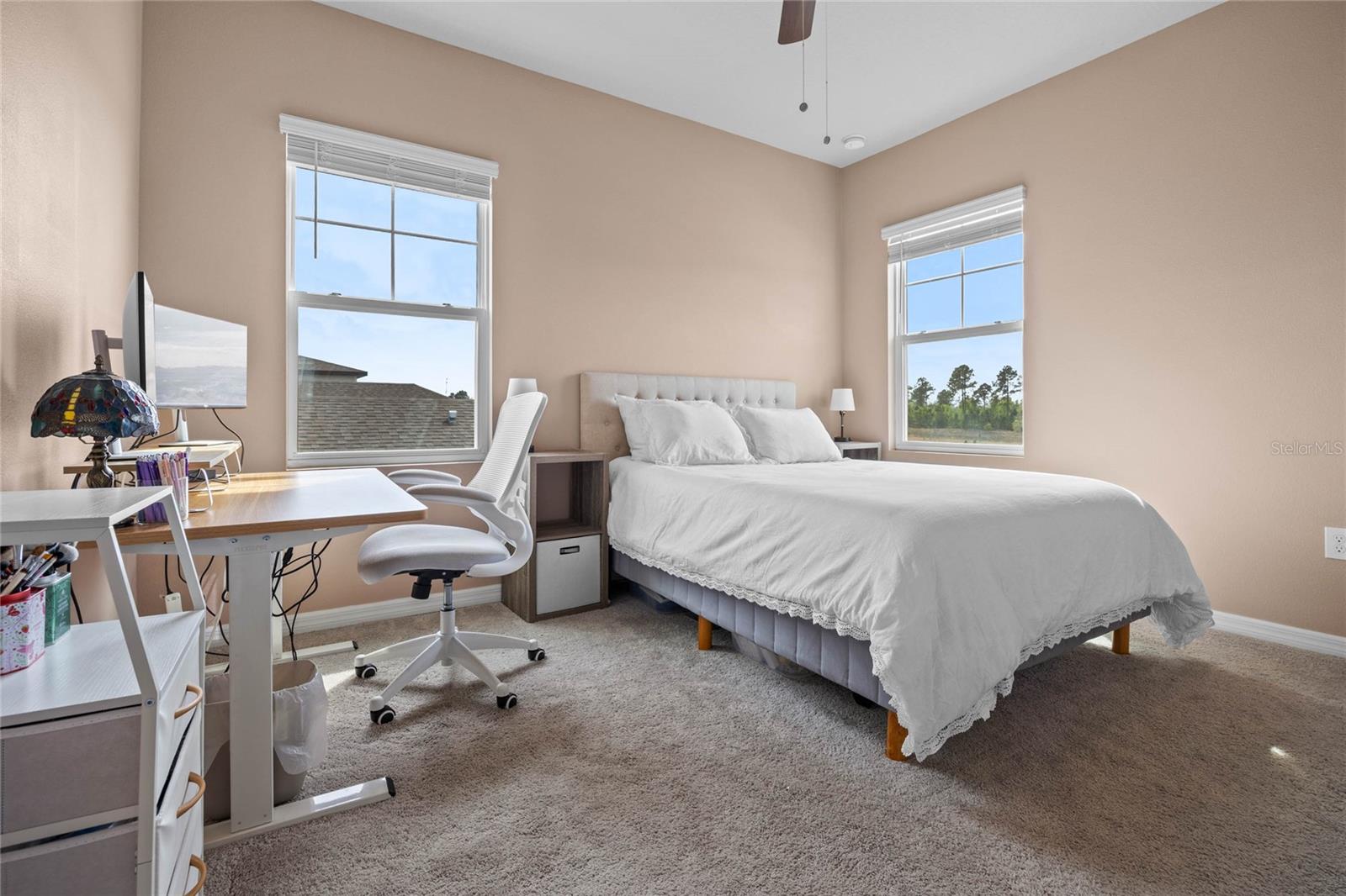 2289 MYSTIC MAZE LN, MINNEOLA, FL, 34715