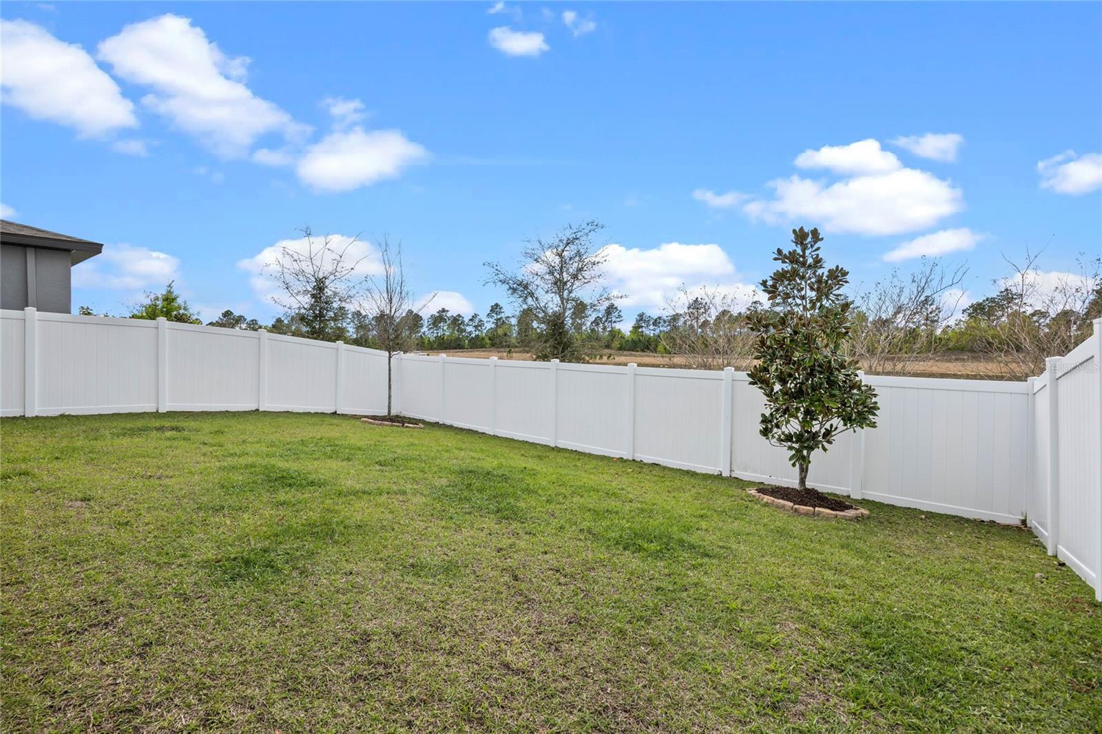 2289 MYSTIC MAZE LN, MINNEOLA, FL, 34715