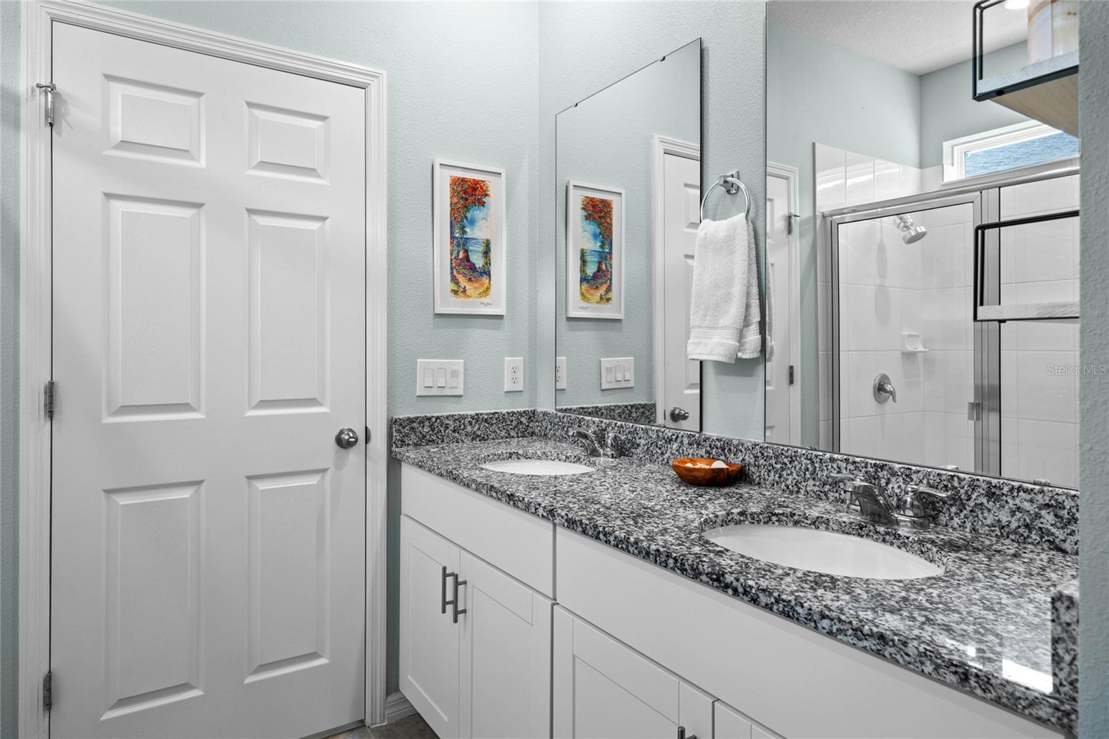 2289 MYSTIC MAZE LN, MINNEOLA, FL, 34715