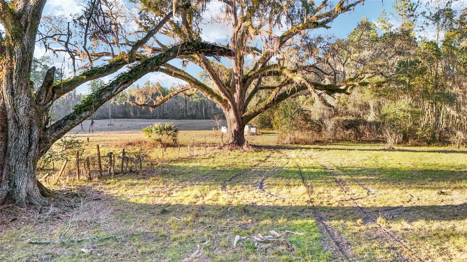 13717 NE 48TH PL, GAINESVILLE, FL, 32641