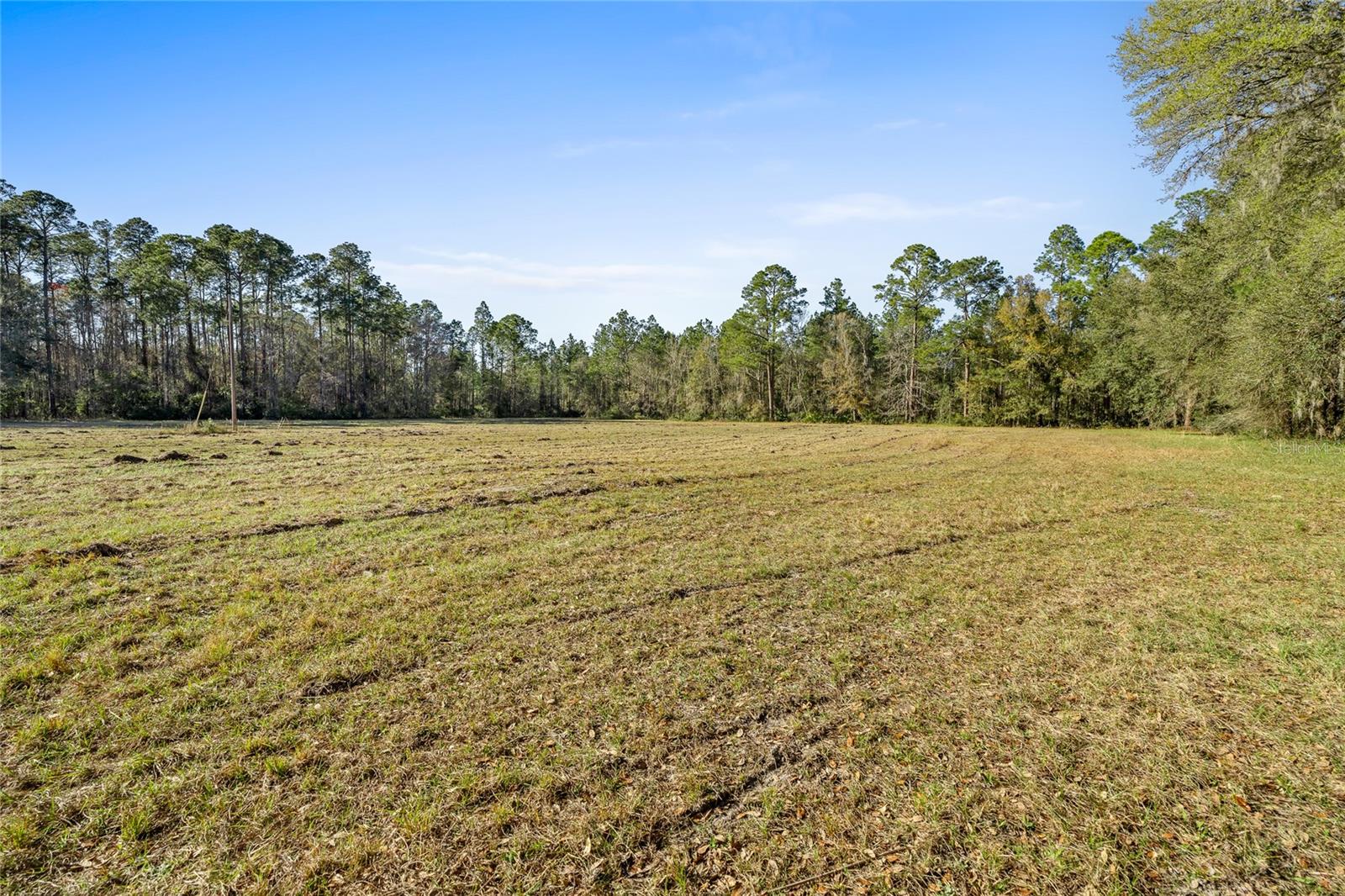 13717 NE 48TH PL, GAINESVILLE, FL, 32641