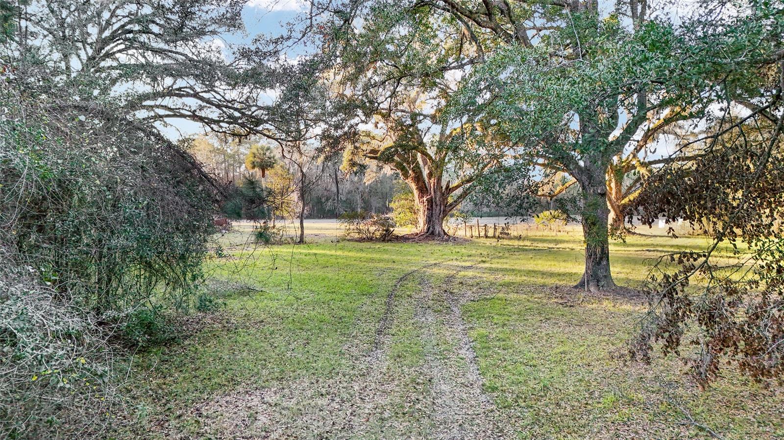 13717 NE 48TH PL, GAINESVILLE, FL, 32641