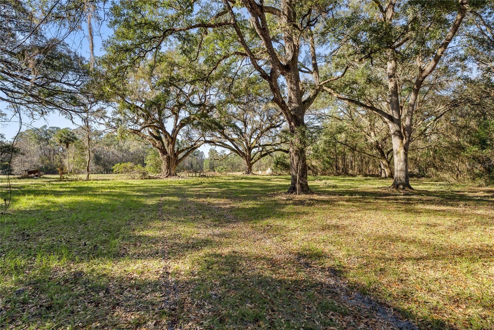 13717 NE 48TH PL, GAINESVILLE, FL, 32641