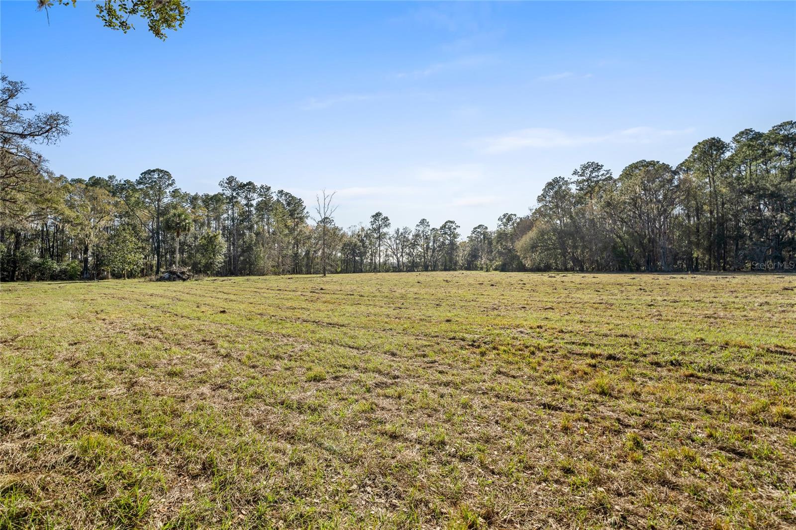 13717 NE 48TH PL, GAINESVILLE, FL, 32641