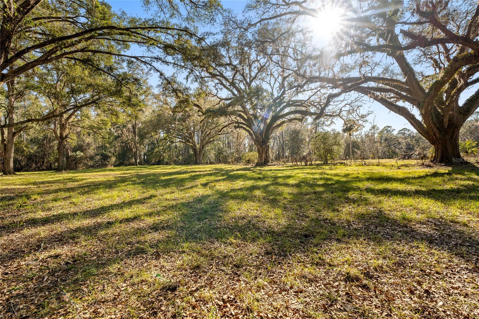 13717 NE 48TH PL, GAINESVILLE, FL, 32641