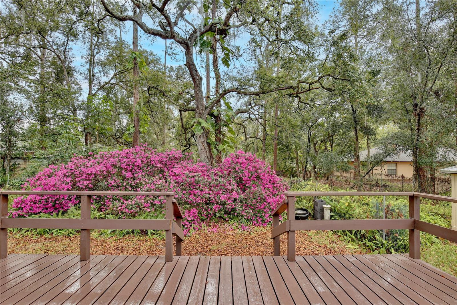 14226 NELL DR, ORLANDO, FL, 32832