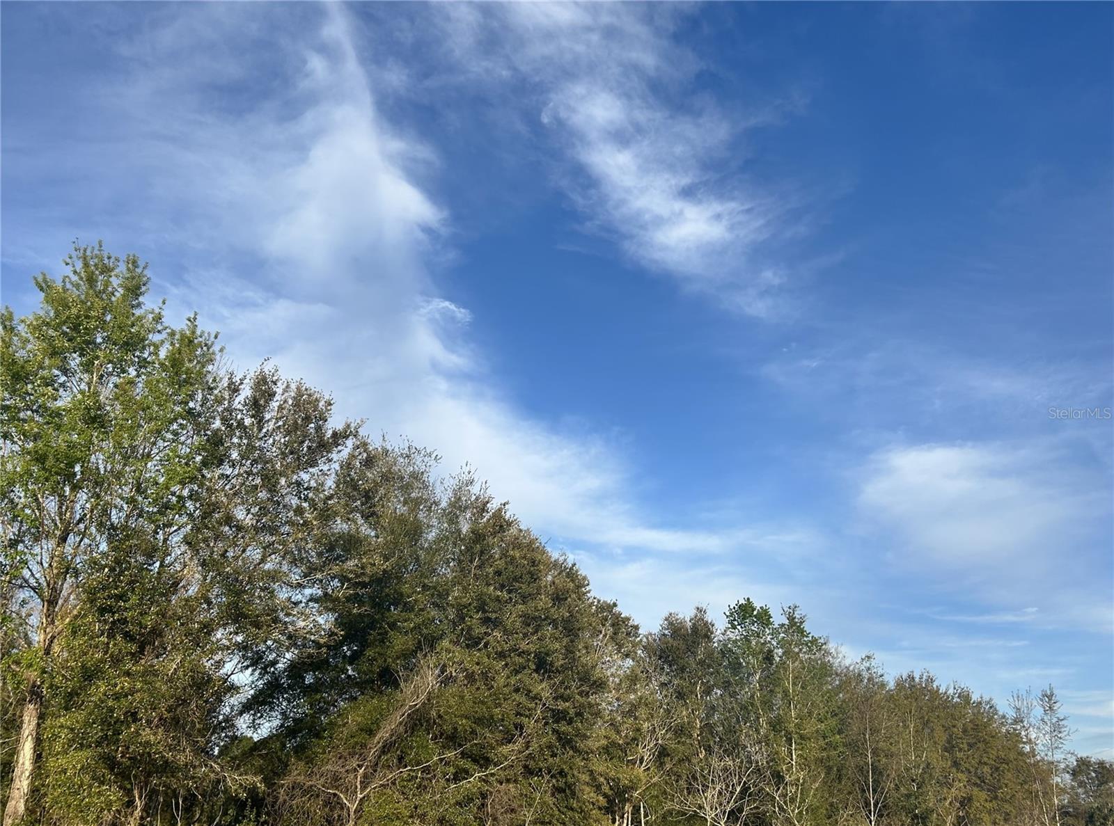 0 SW 54TH ST, DUNNELLON, FL, 34431