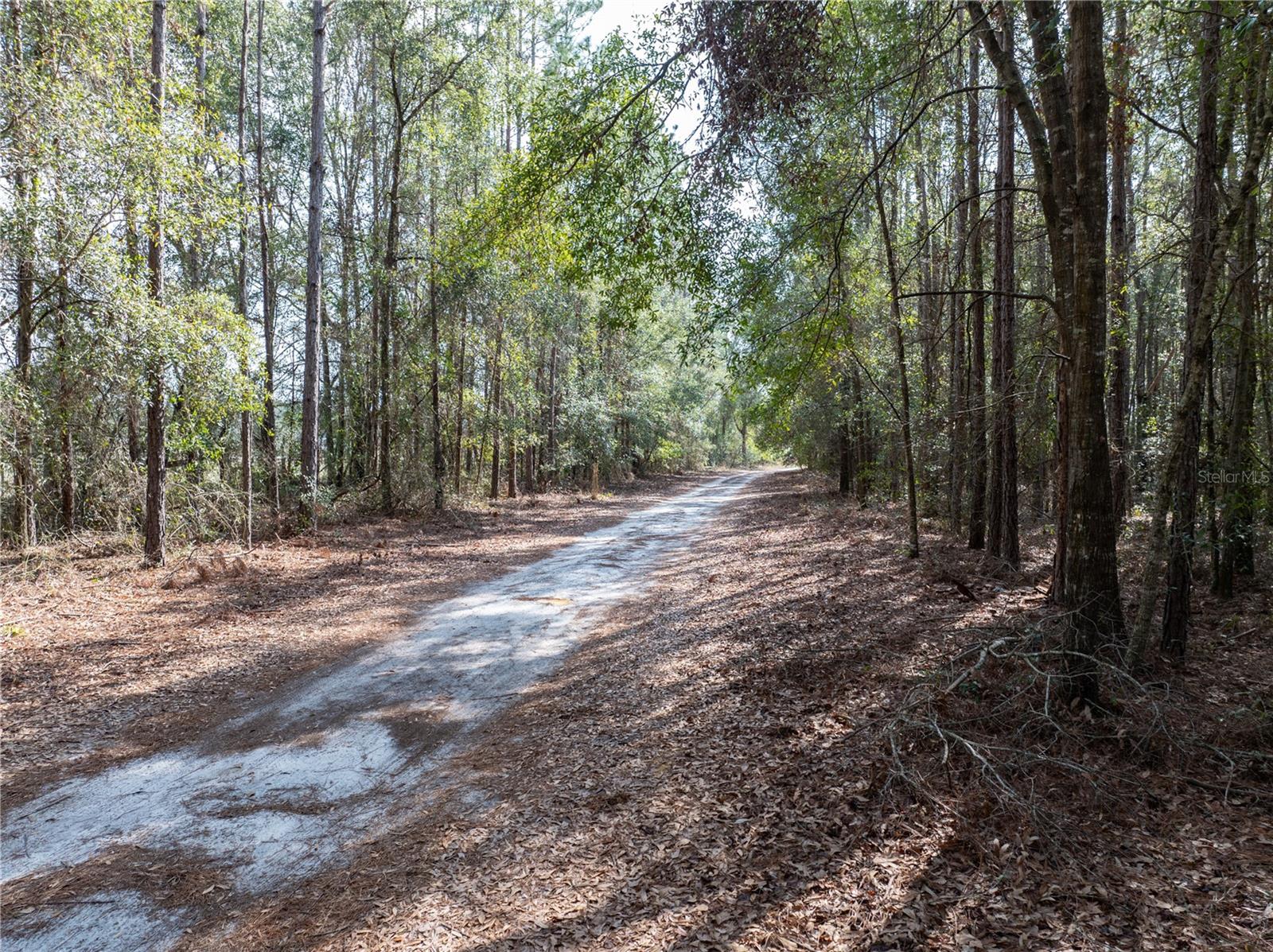 589 SW CUMORAH HILL ST, FORT WHITE, FL, 32038