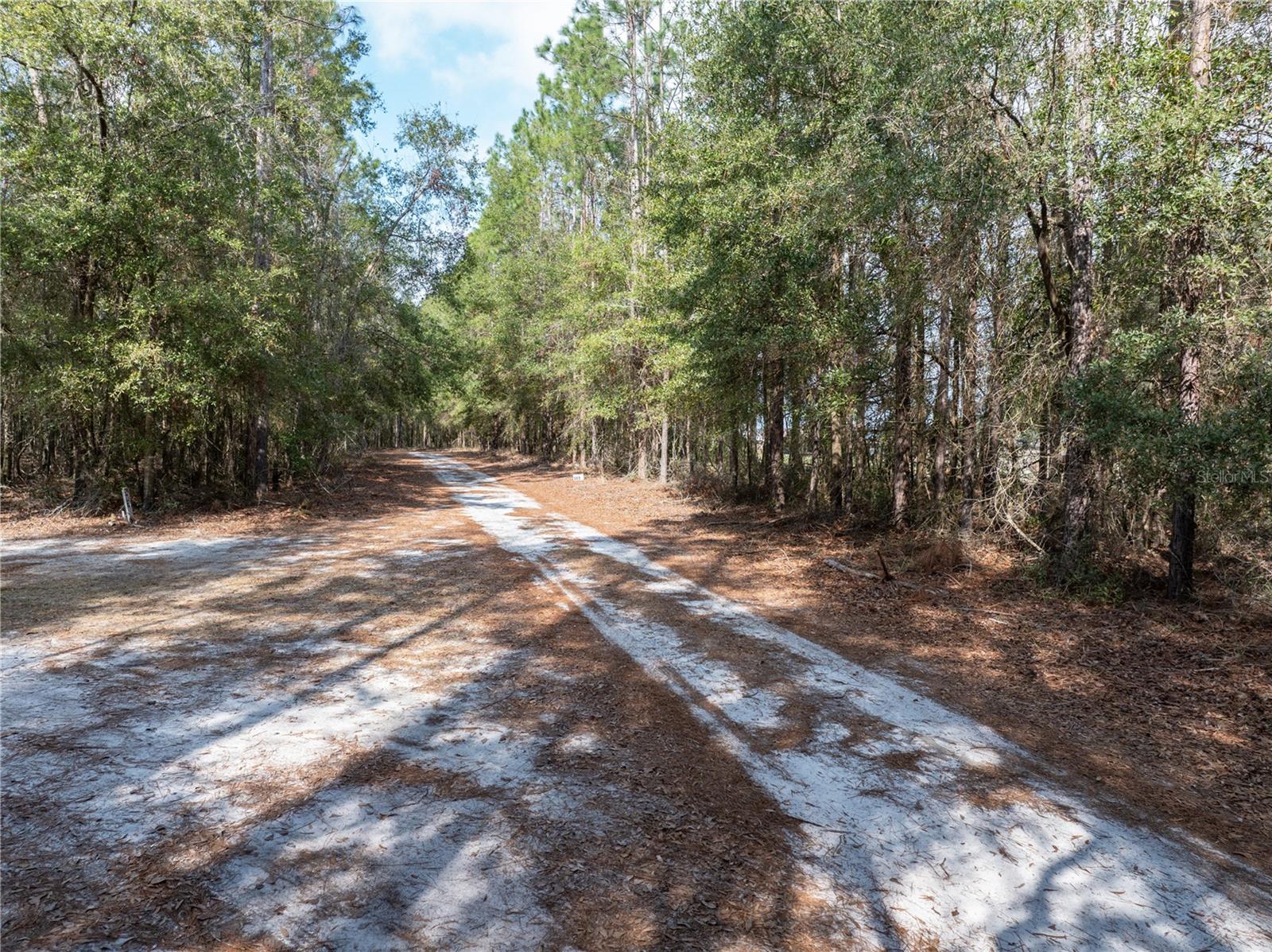 589 SW CUMORAH HILL ST, FORT WHITE, FL, 32038