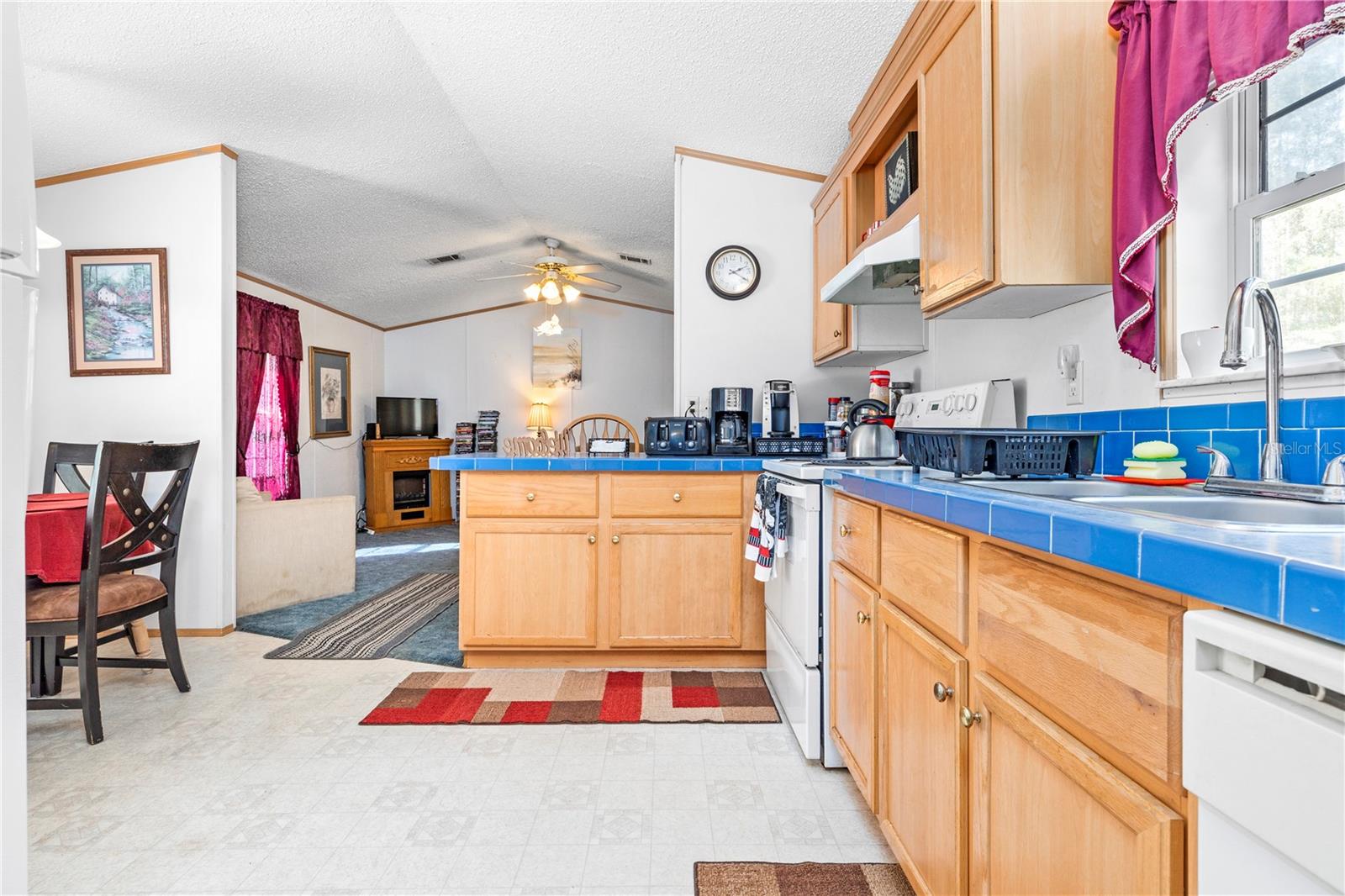 589 SW CUMORAH HILL ST, FORT WHITE, FL, 32038