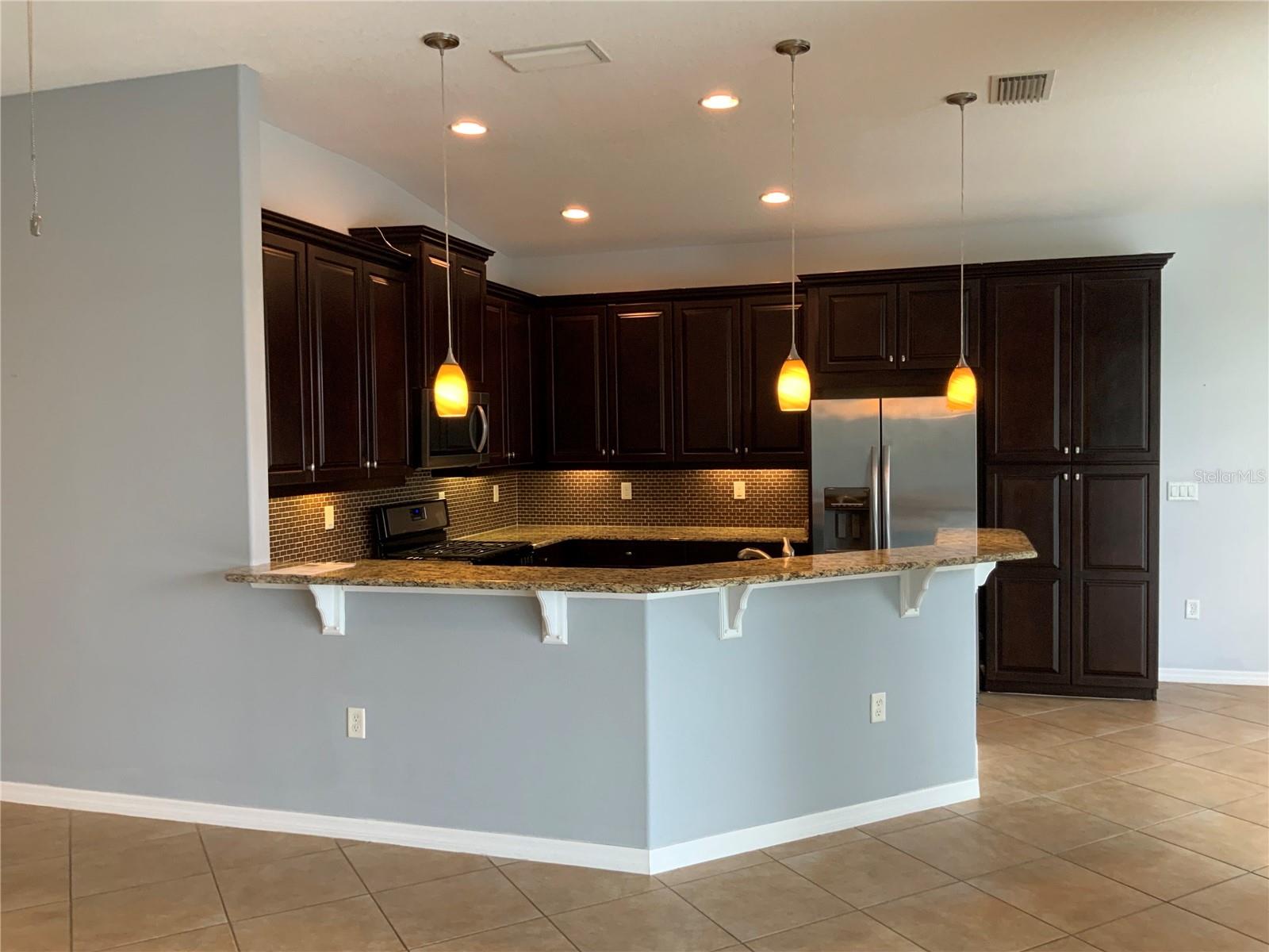 8780 BRIDGEPORT BAY CIR, MOUNT DORA, FL, 32757