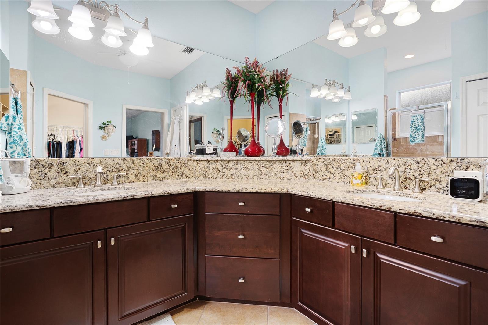 8780 BRIDGEPORT BAY CIR, MOUNT DORA, FL, 32757