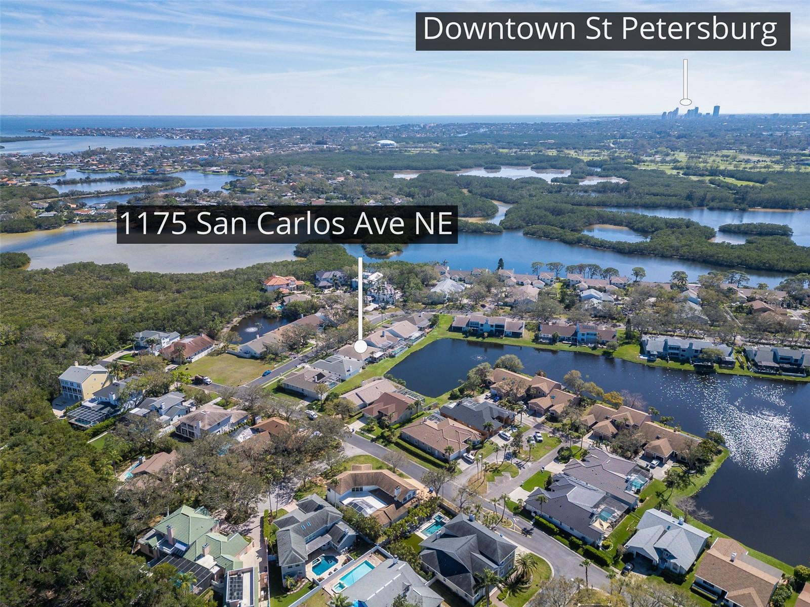 1175 SAN CARLOS AVE NE, ST PETERSBURG, FL, 33702