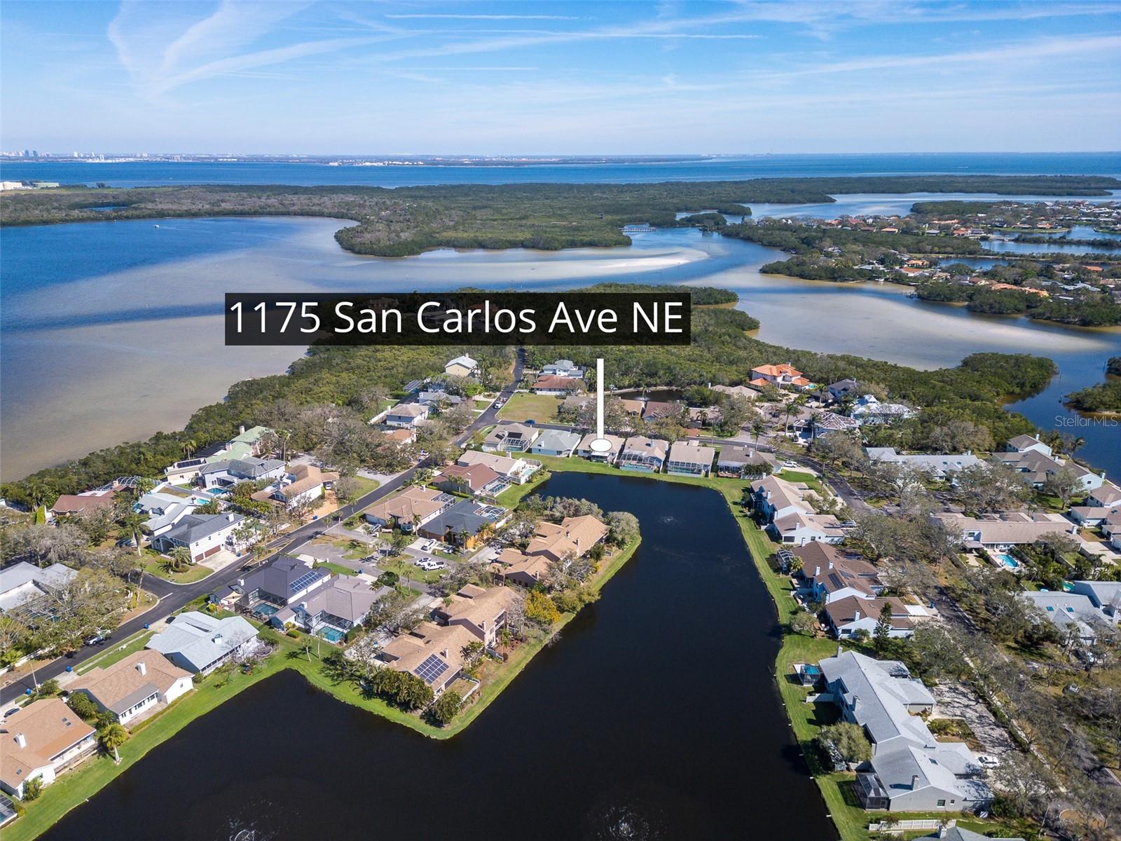 1175 SAN CARLOS AVE NE, ST PETERSBURG, FL, 33702