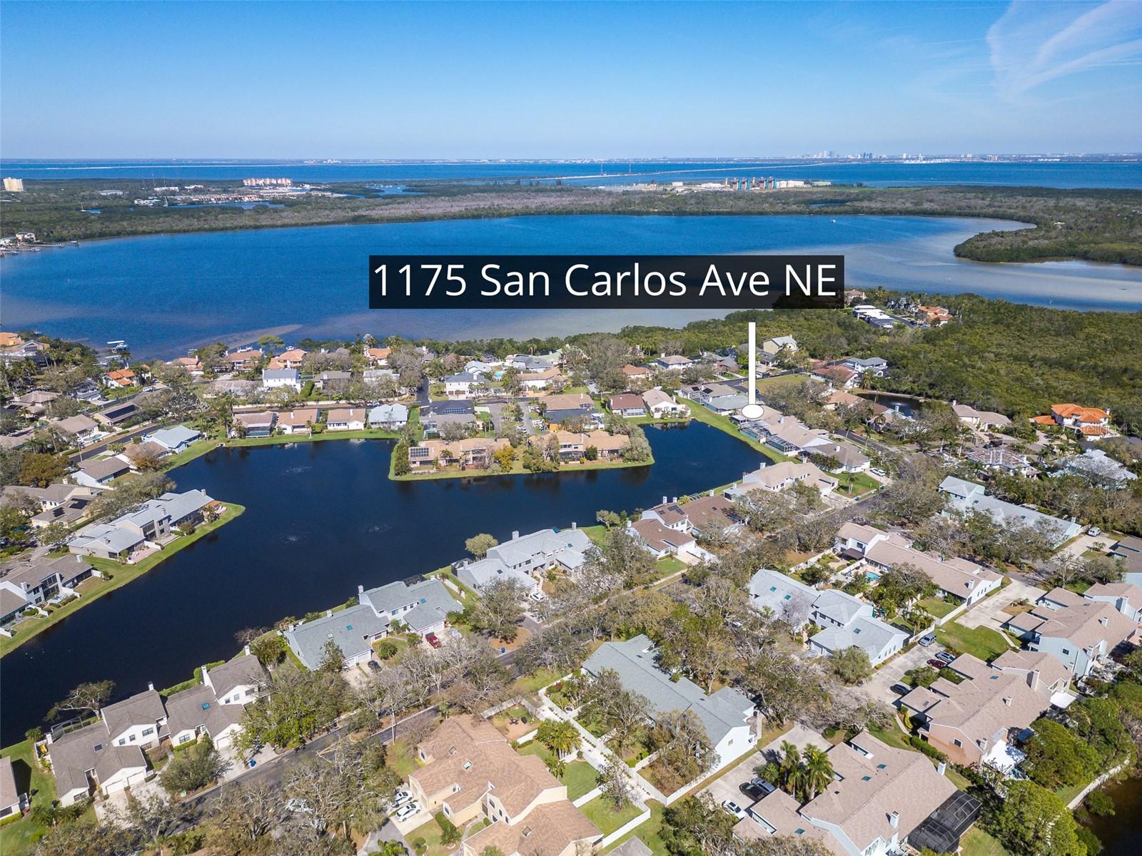 1175 SAN CARLOS AVE NE, ST PETERSBURG, FL, 33702