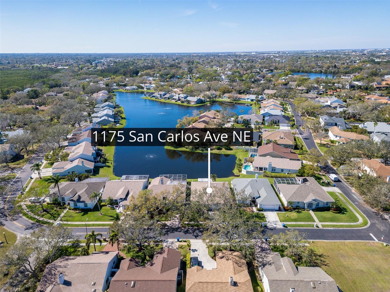 1175 SAN CARLOS AVE NE, ST PETERSBURG, FL, 33702