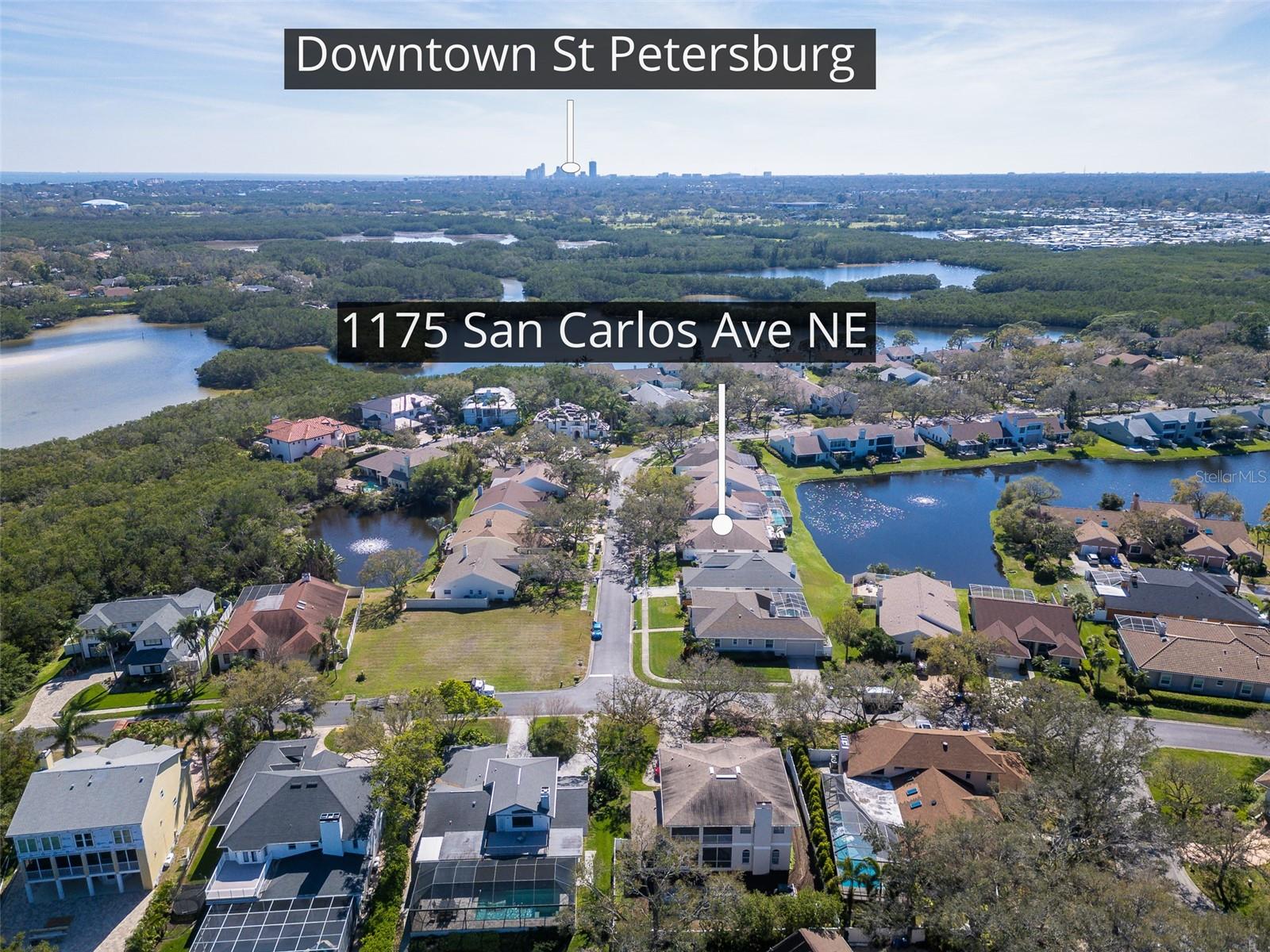 1175 SAN CARLOS AVE NE, ST PETERSBURG, FL, 33702