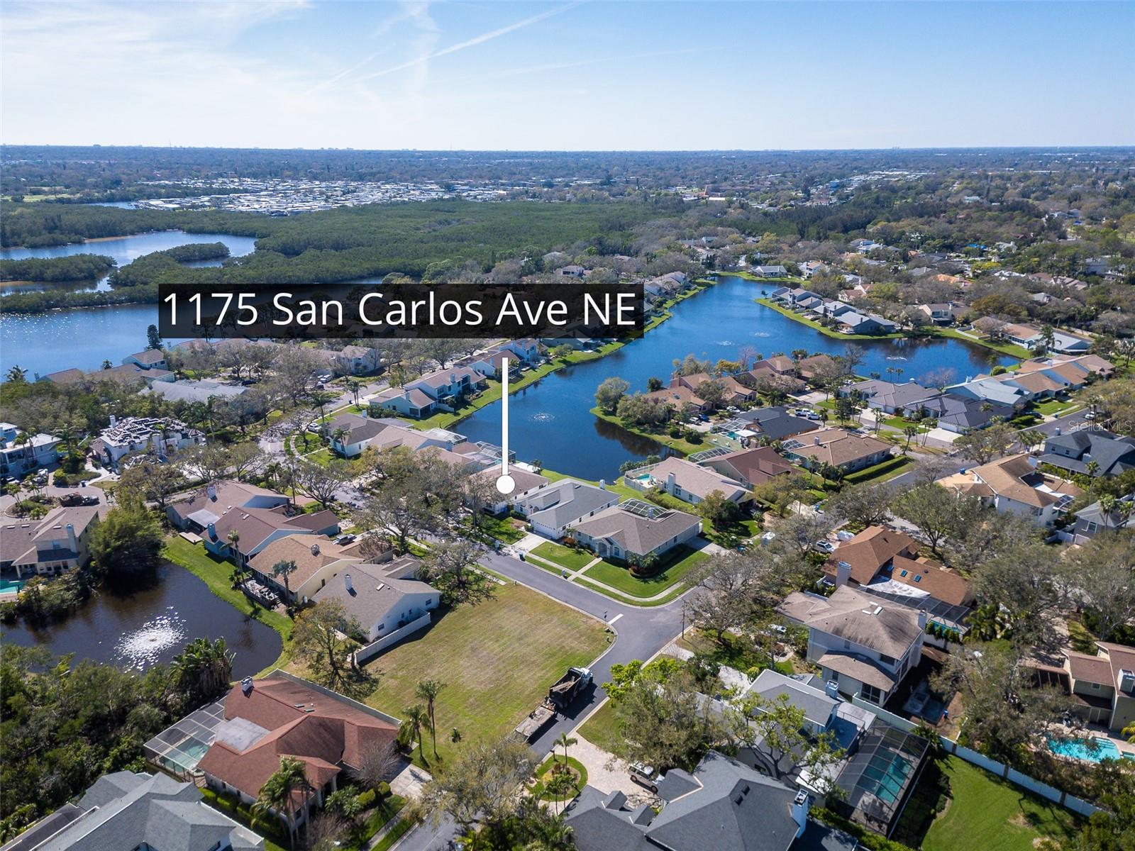 1175 SAN CARLOS AVE NE, ST PETERSBURG, FL, 33702
