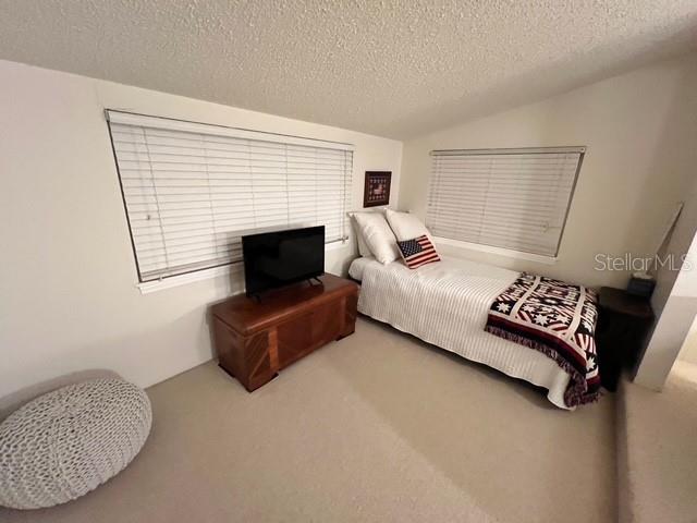 810 N TREMAIN ST, MOUNT DORA, FL, 32757