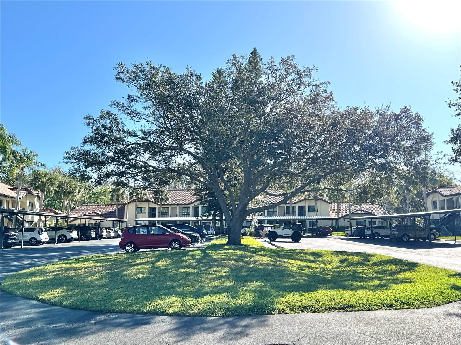 1801 E LAKE RD #6B, PALM HARBOR, FL, 34685