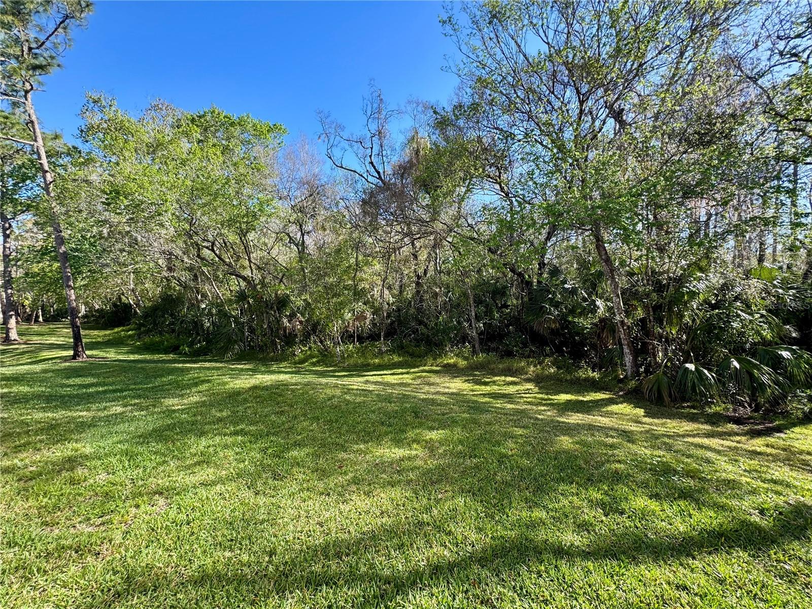 1801 E LAKE RD #6B, PALM HARBOR, FL, 34685