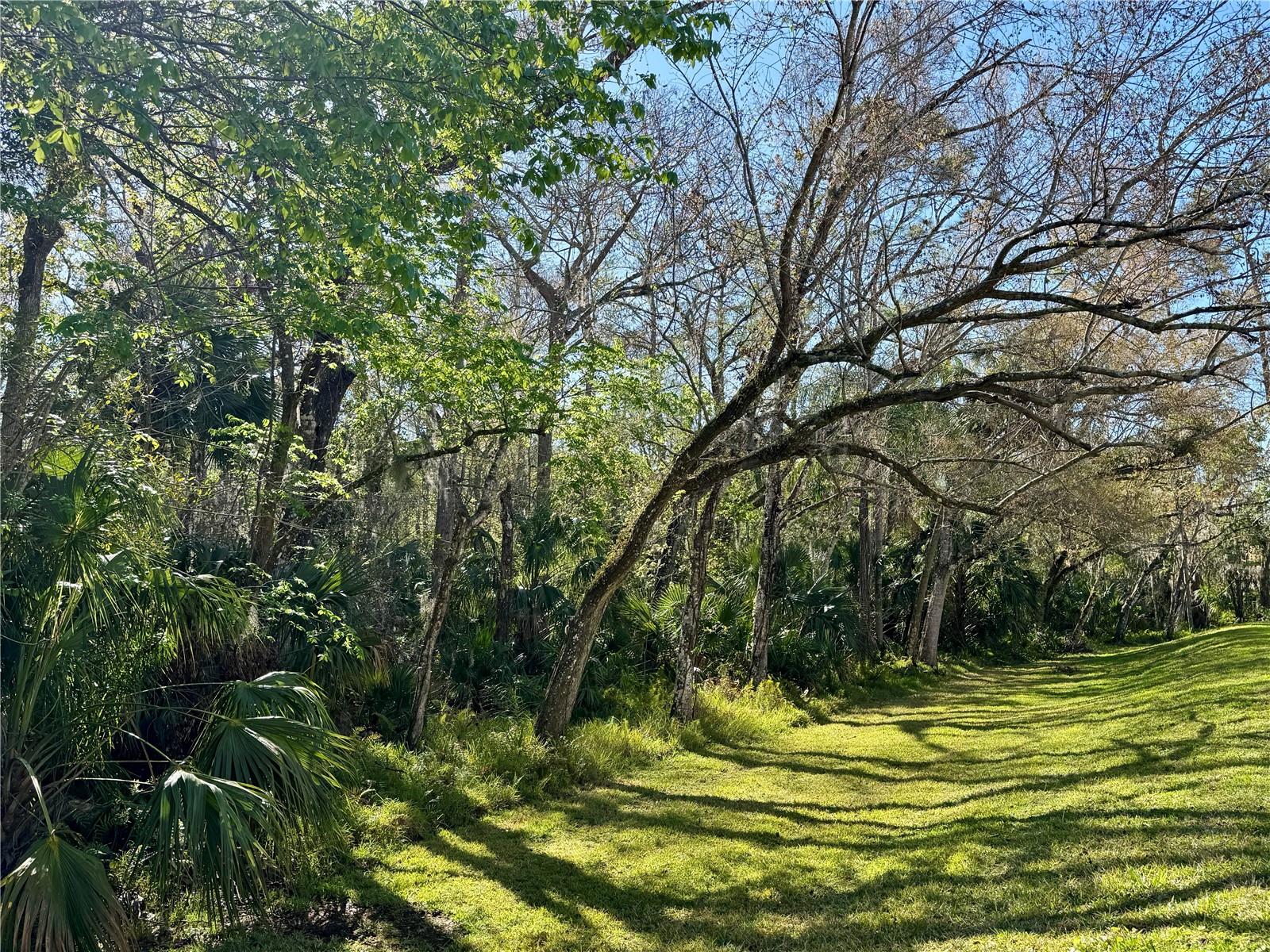 1801 E LAKE RD #6B, PALM HARBOR, FL, 34685