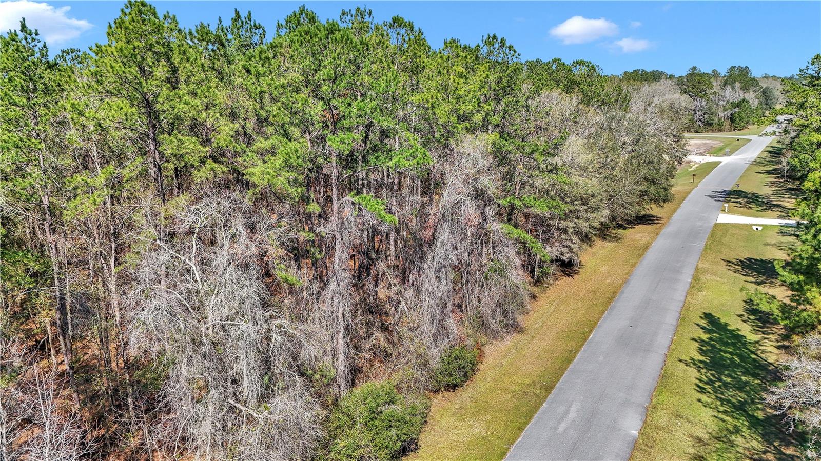 THE VILLAGE AT HIDDEN LAKES, WILLISTON, FL, 32696