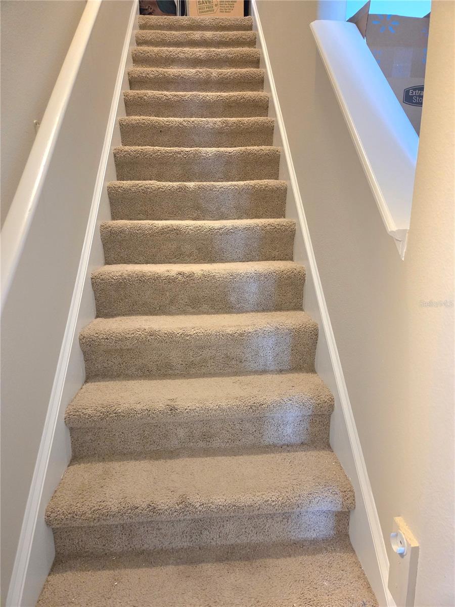 9729 ASBEL ESTATES ST, LAND O LAKES, FL, 34638