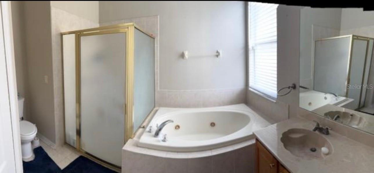 9729 ASBEL ESTATES ST, LAND O LAKES, FL, 34638