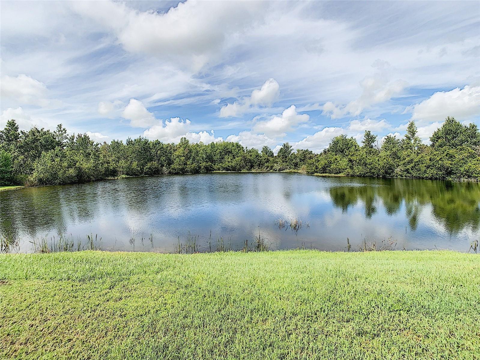 9729 ASBEL ESTATES ST, LAND O LAKES, FL, 34638