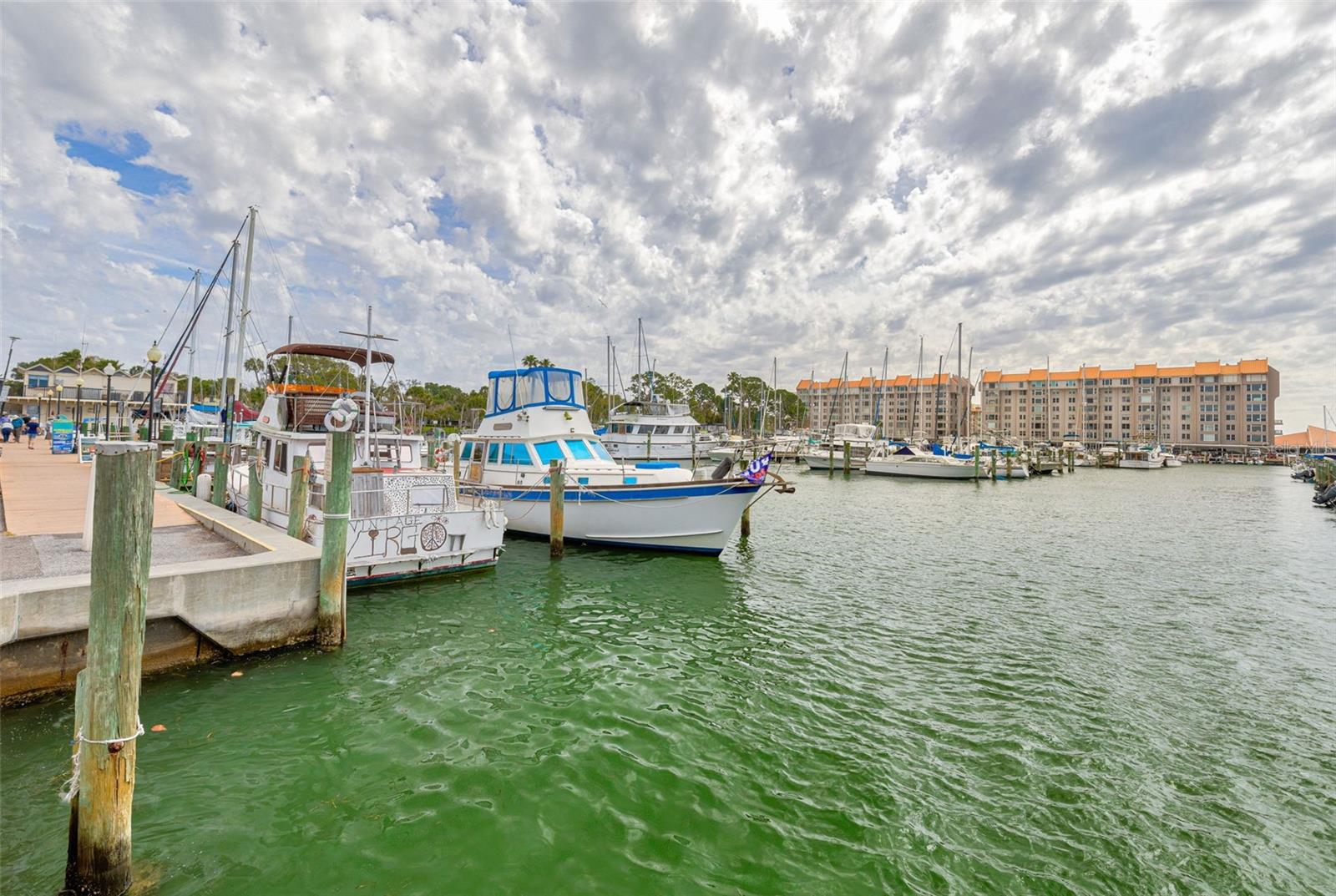 439 SAN SALVADOR DR, DUNEDIN, FL, 34698