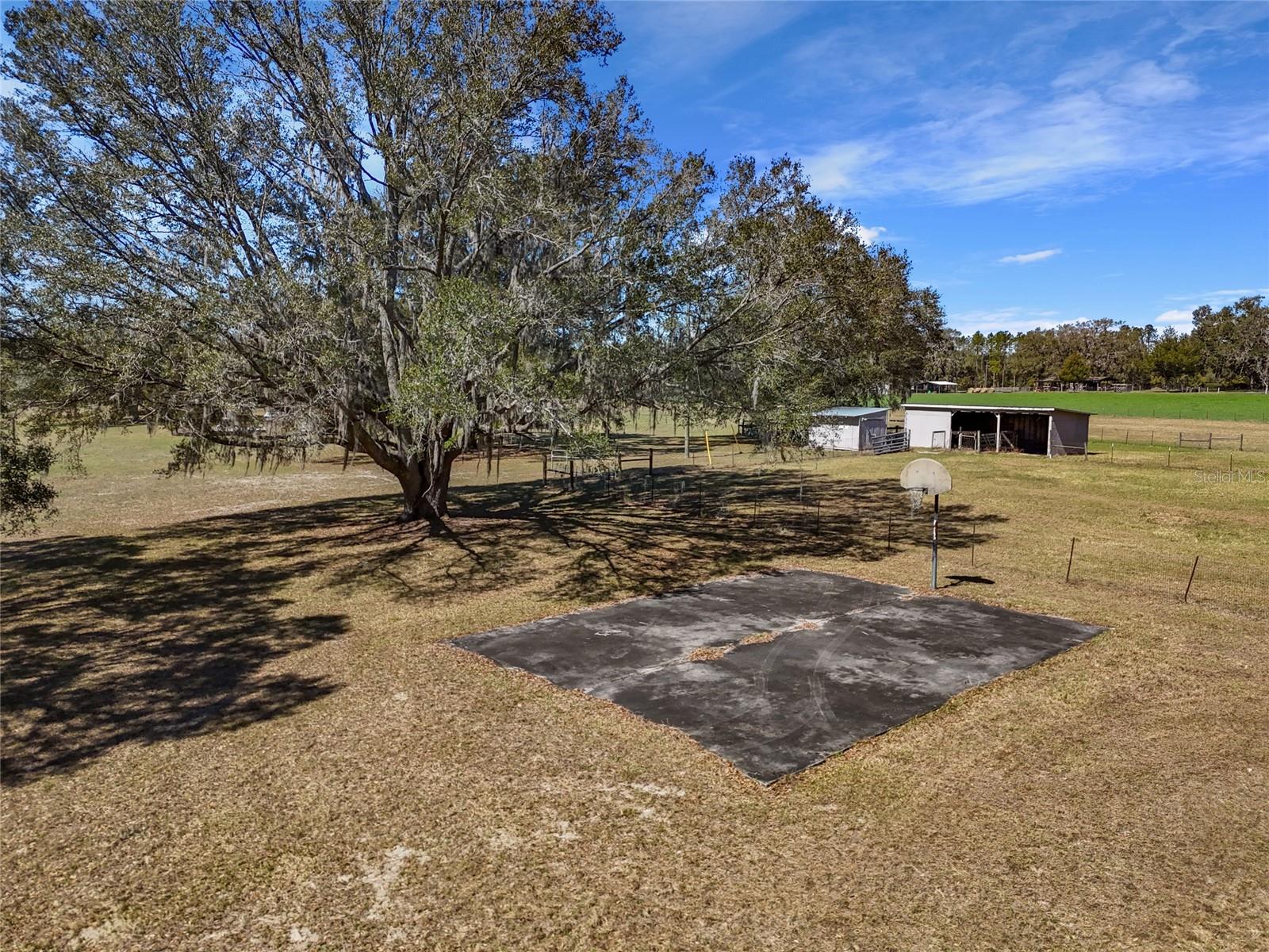 667 SW ELIM CHURCH RD, FORT WHITE, FL, 32038