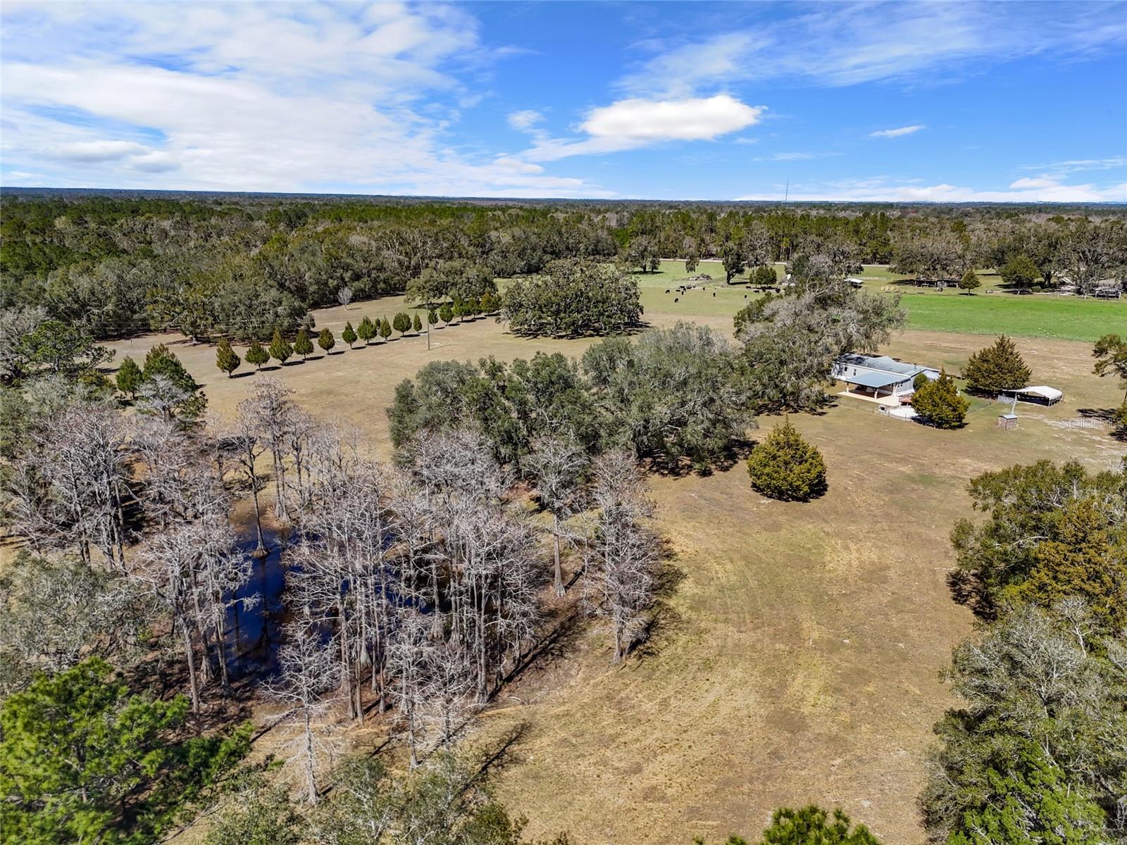 667 SW ELIM CHURCH RD, FORT WHITE, FL, 32038