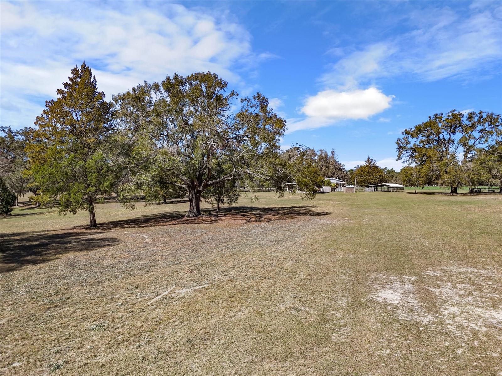 667 SW ELIM CHURCH RD, FORT WHITE, FL, 32038