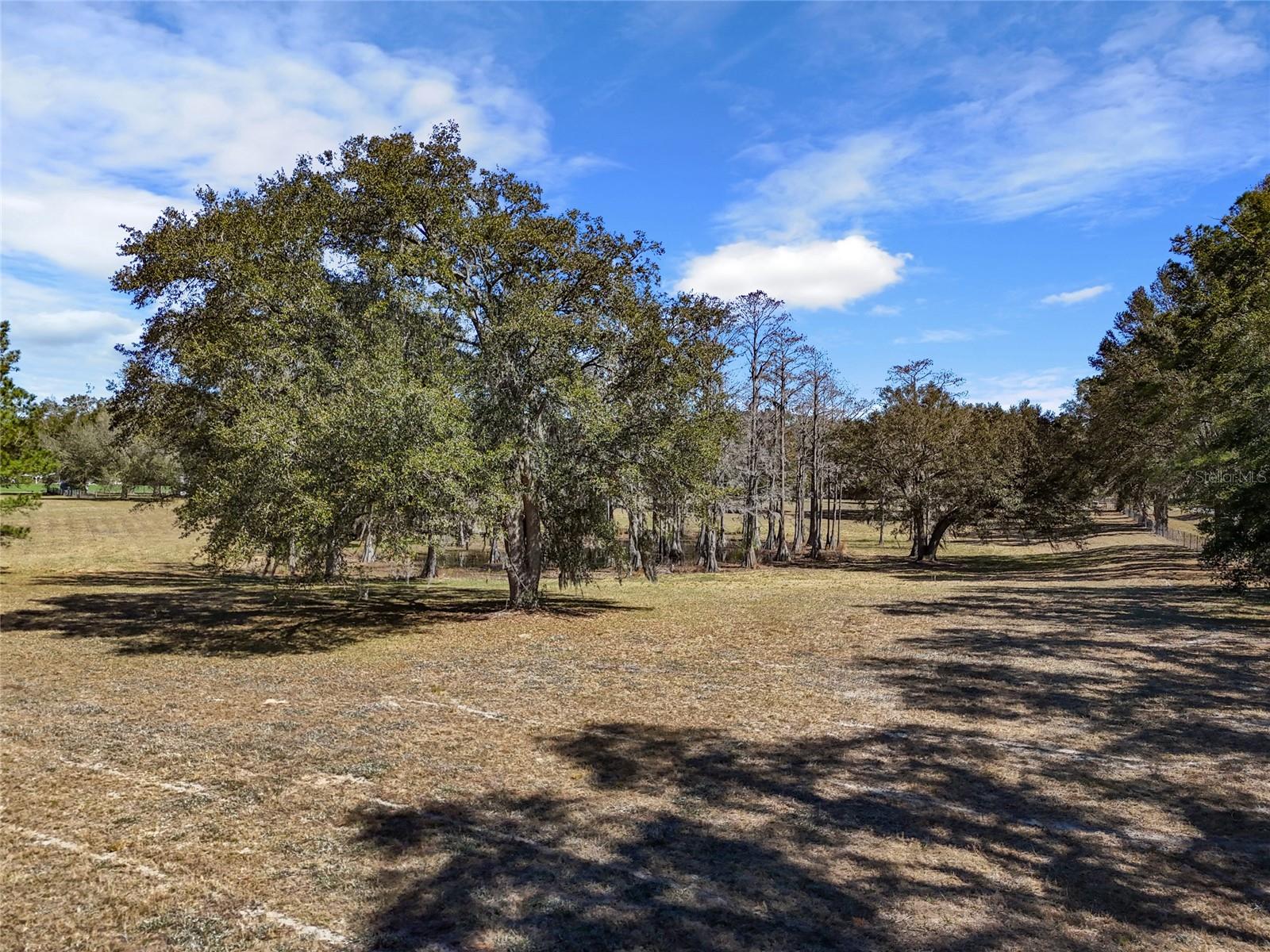 667 SW ELIM CHURCH RD, FORT WHITE, FL, 32038