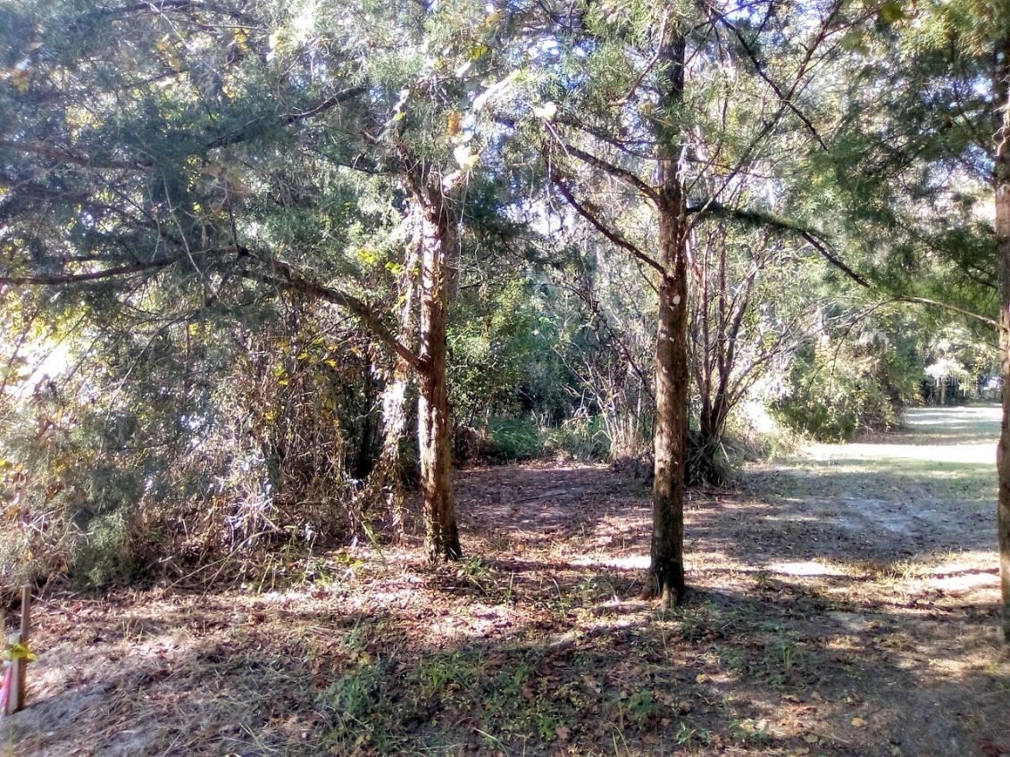 SE 65 TER, SUMMERFIELD, FL, 34491