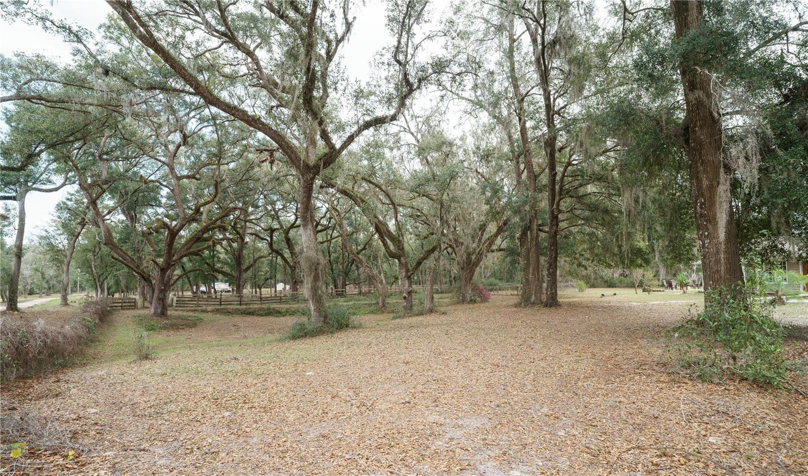 5490 SE HIGHWAY 42, SUMMERFIELD, FL, 34491