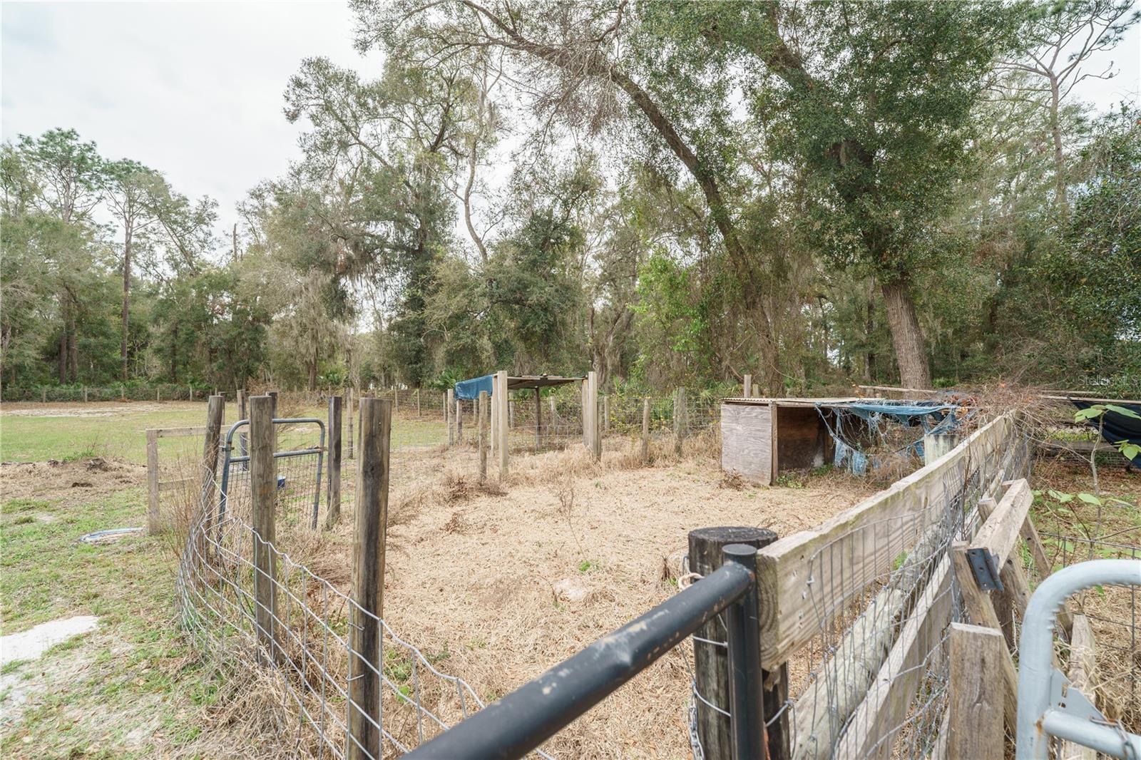 5490 SE HIGHWAY 42, SUMMERFIELD, FL, 34491