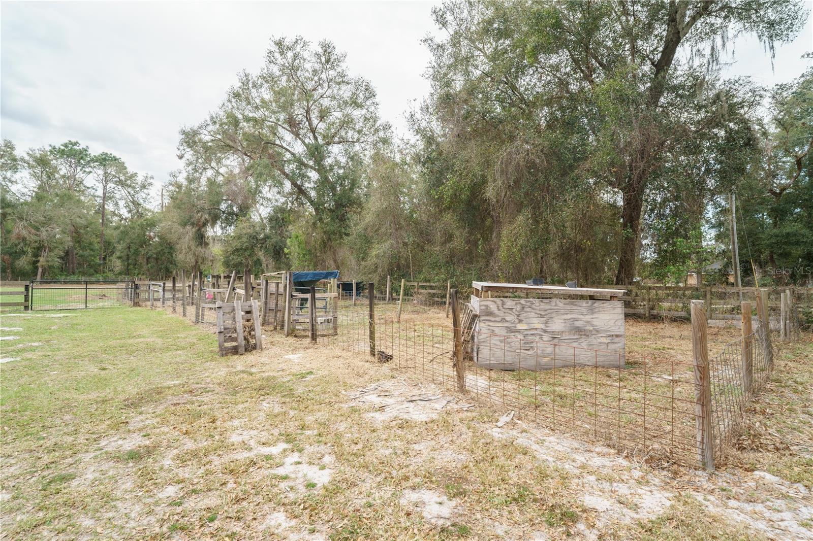 5490 SE HIGHWAY 42, SUMMERFIELD, FL, 34491