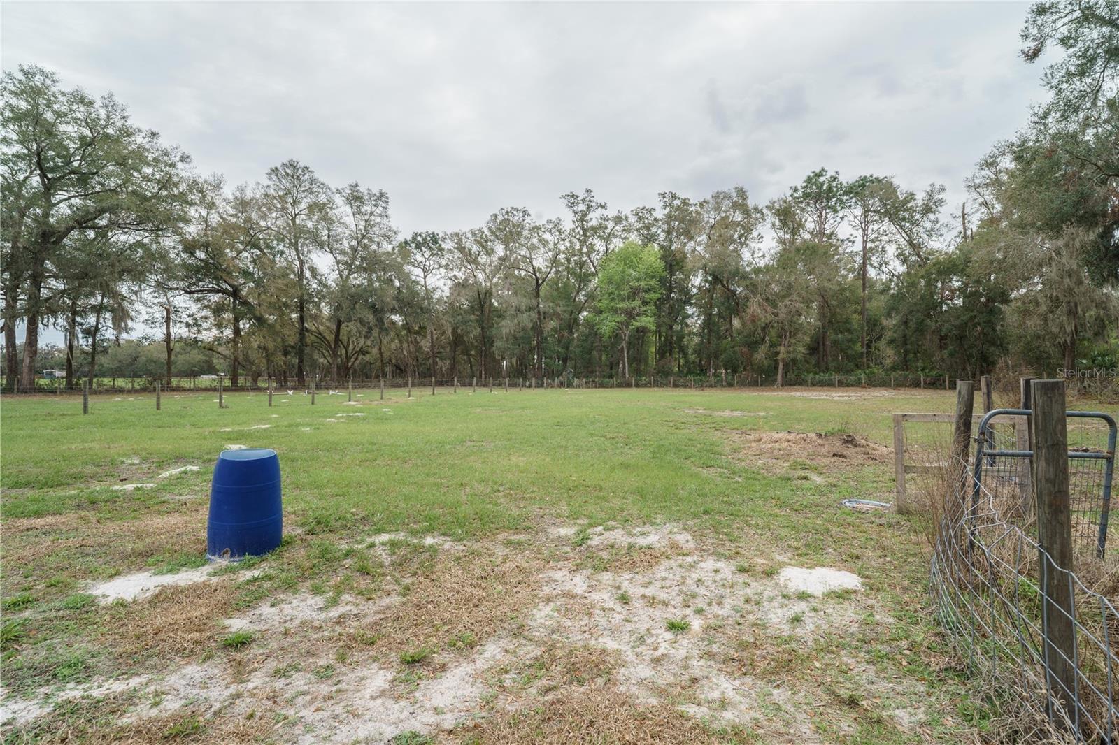 5490 SE HIGHWAY 42, SUMMERFIELD, FL, 34491