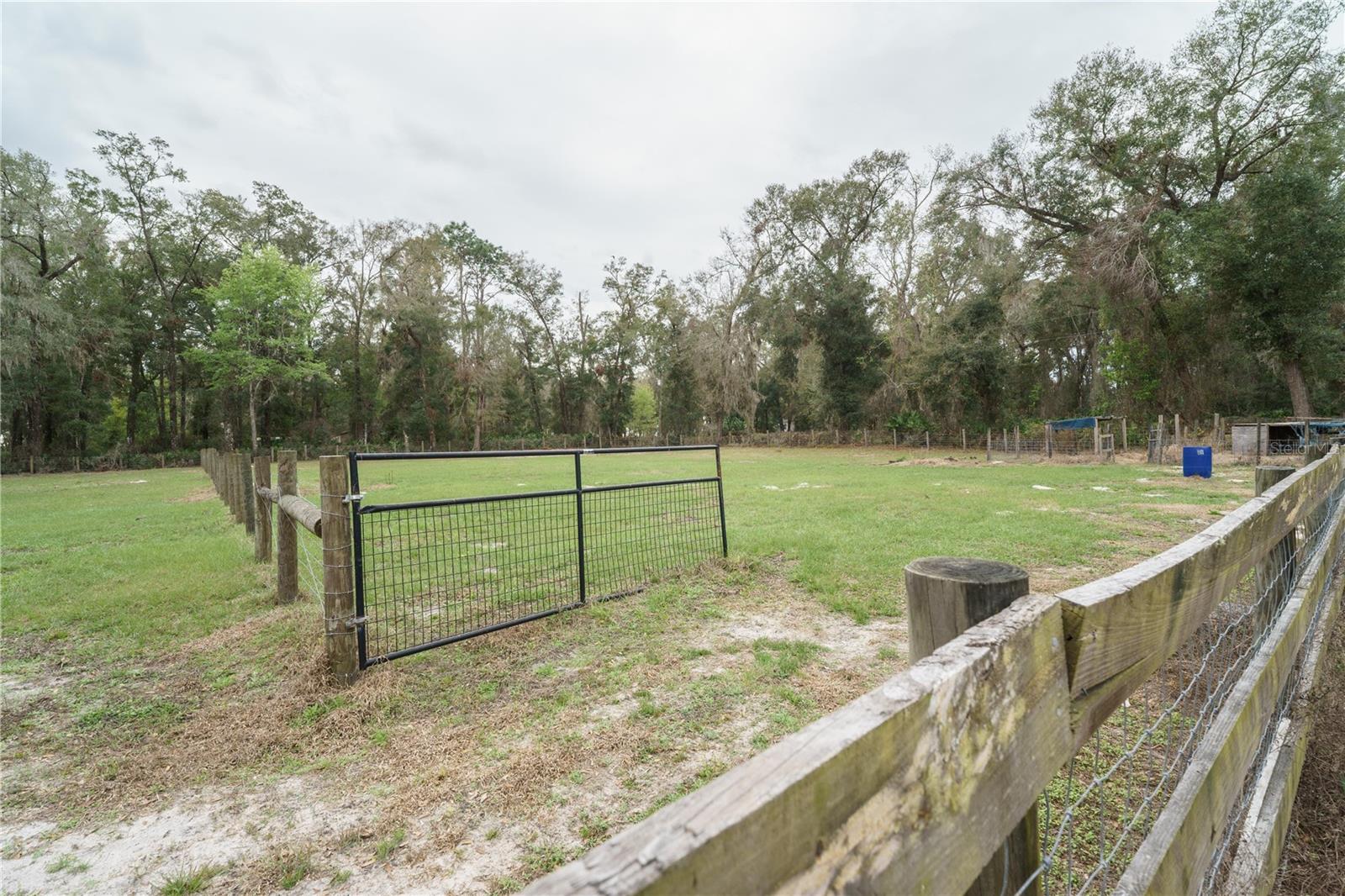 5490 SE HIGHWAY 42, SUMMERFIELD, FL, 34491