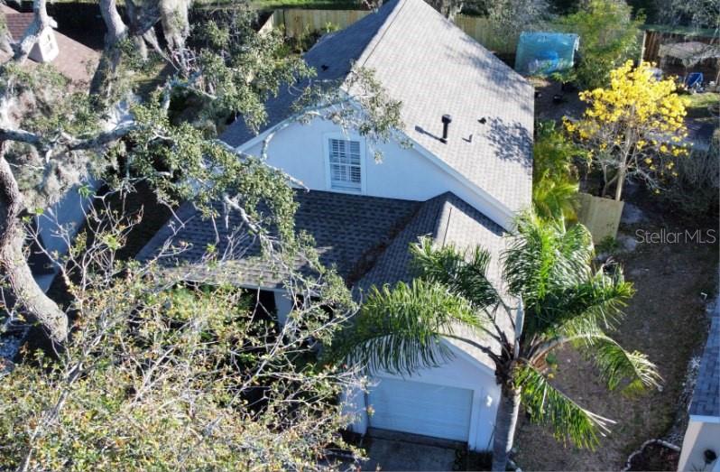 14909 STAG WOODS CIR, LUTZ, FL, 33559