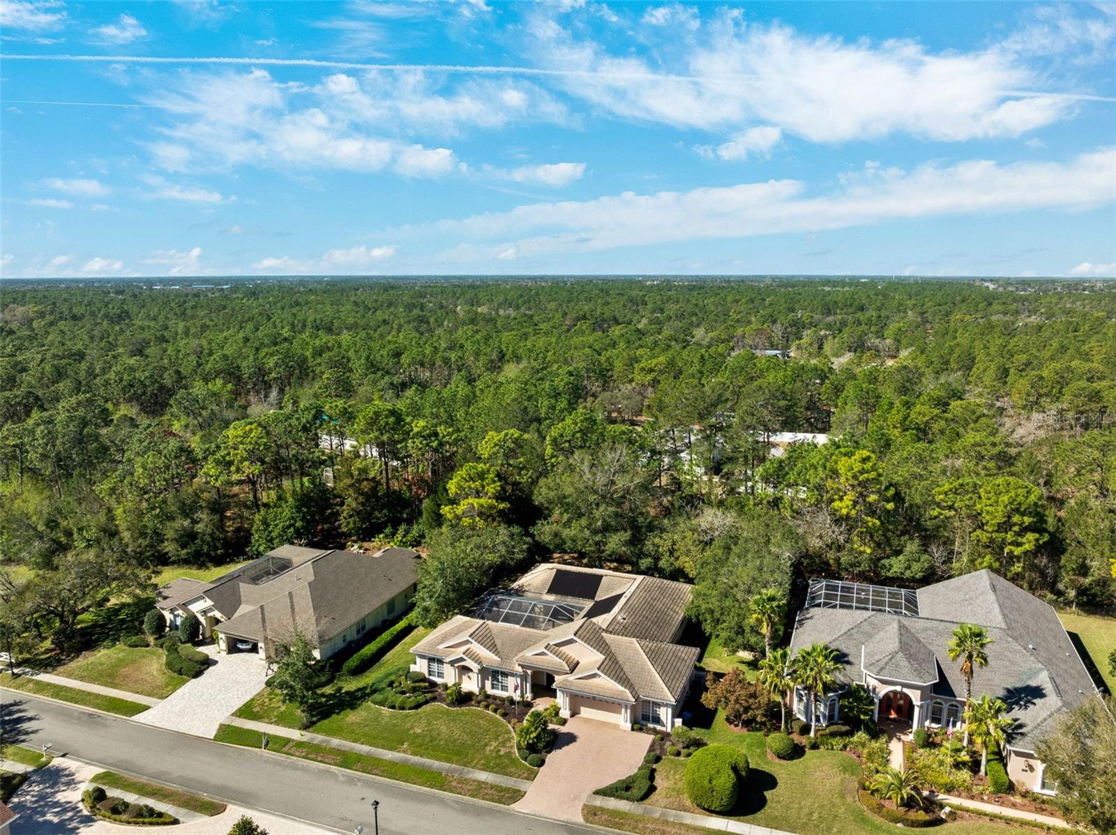 5383 FIRETHORN PT, SPRING HILL, FL, 34609