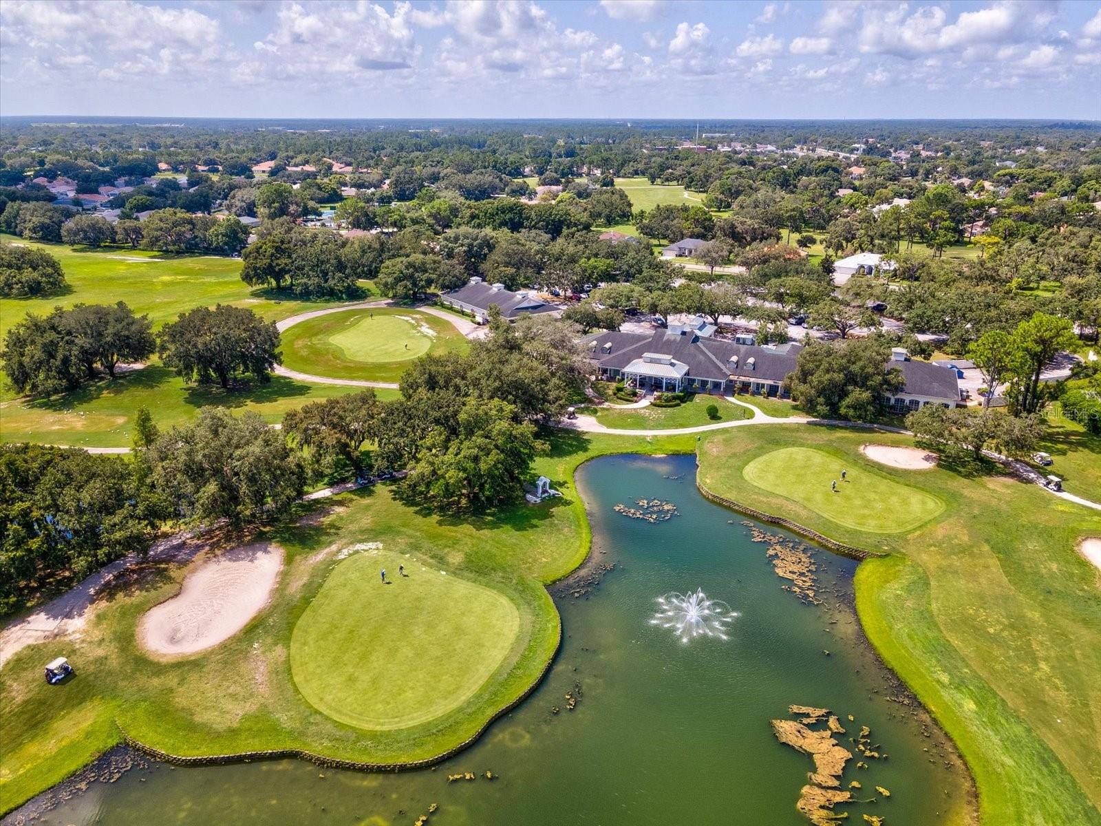 5383 FIRETHORN PT, SPRING HILL, FL, 34609