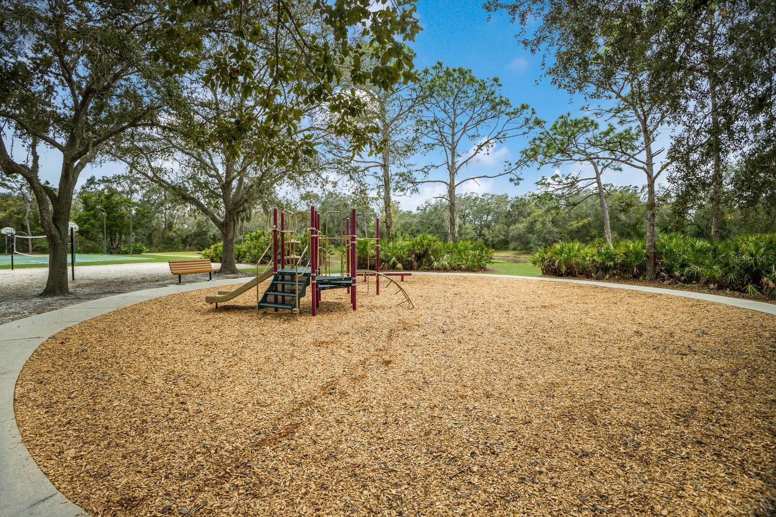 11120 MARIGOLD DR, LAKEWOOD RANCH, FL, 34202