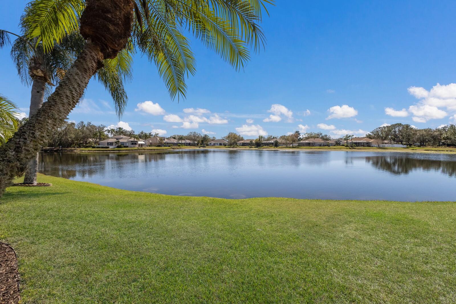 11120 MARIGOLD DR, LAKEWOOD RANCH, FL, 34202