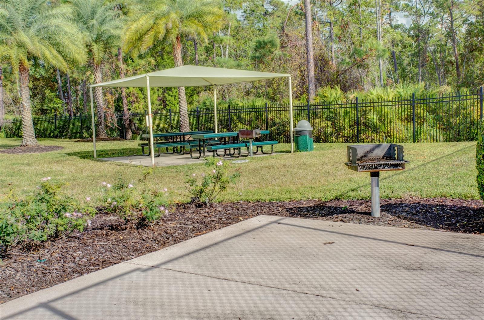 3404 GERBER DAISY LN, OVIEDO, FL, 32766