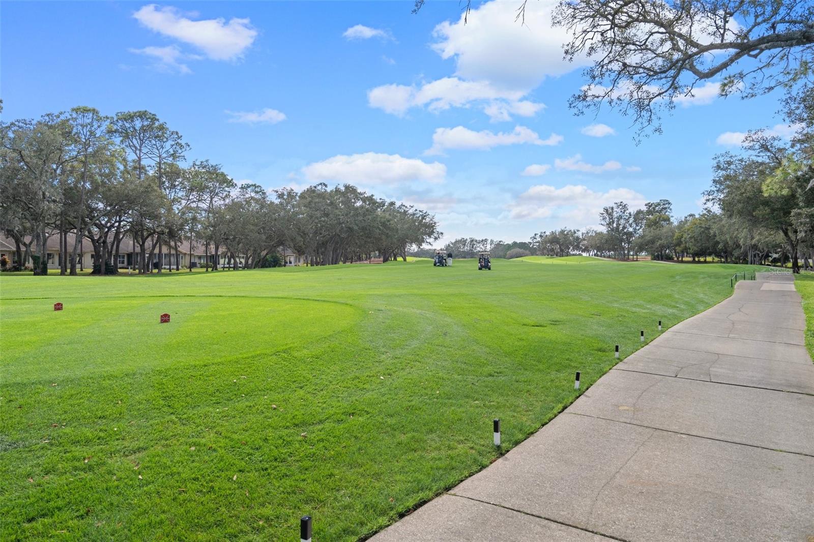 8002 SUGARBUSH DR, SPRING HILL, FL, 34606