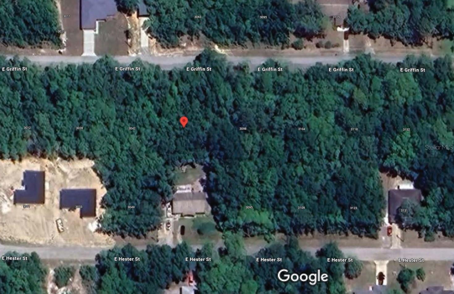 3054 E GRIFFIN ST, INVERNESS, FL, 34453